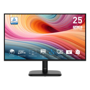 MSI Pro MP251L E2 24.5" Monitor
