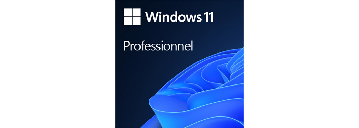 Windows 11 Professional 64bit Oei