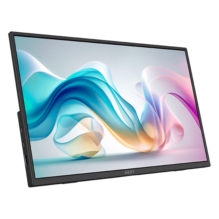MSI PRO MP165 E6 15.6" Business Monitor - Image 2
